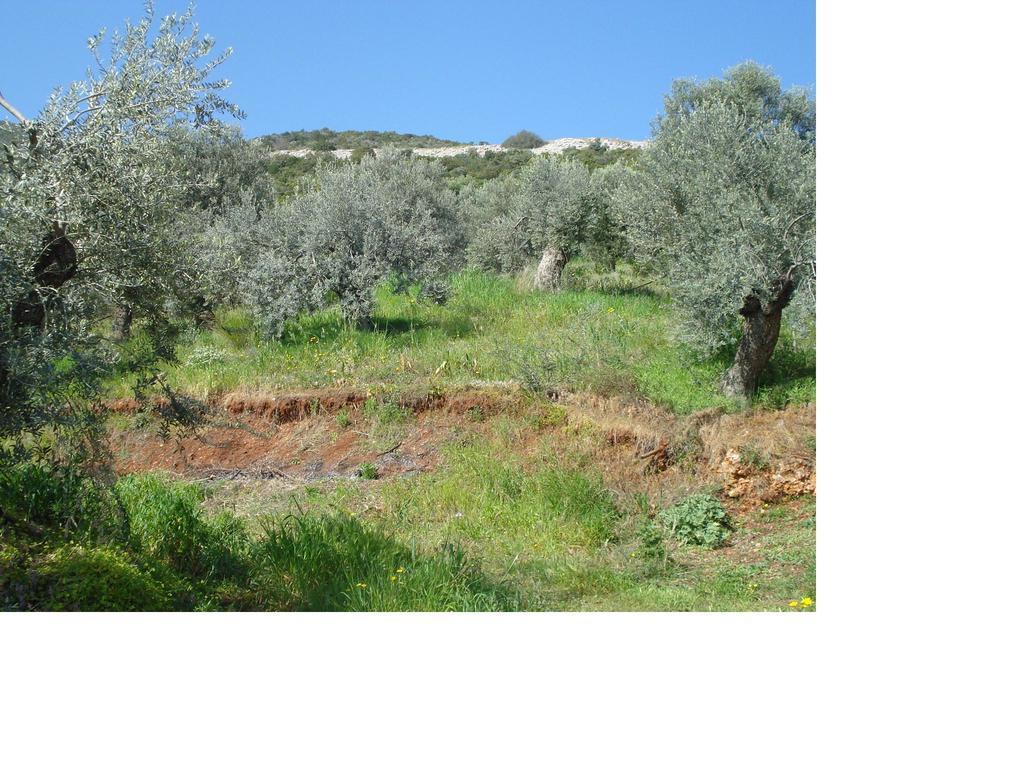 Ferienwohnung Athina Ecofarm Epidaurus Exterior foto