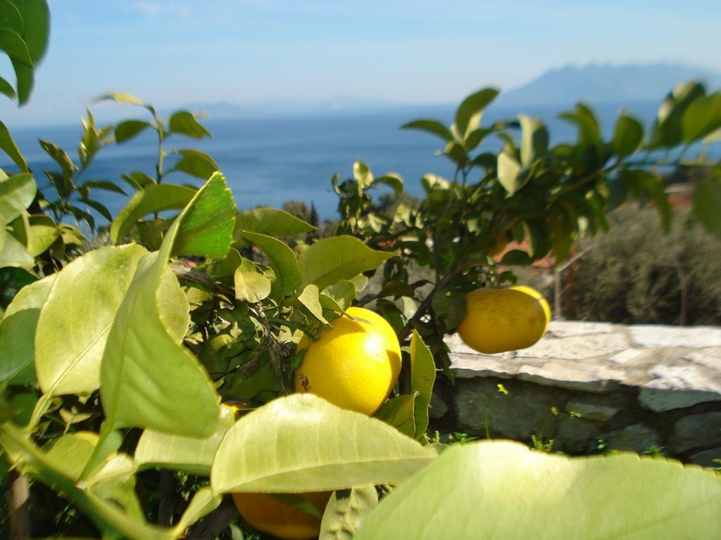 Ferienwohnung Athina Ecofarm Epidaurus Exterior foto